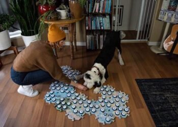 Ce chien a appris à parler et pose une question étonnante (vidéo)