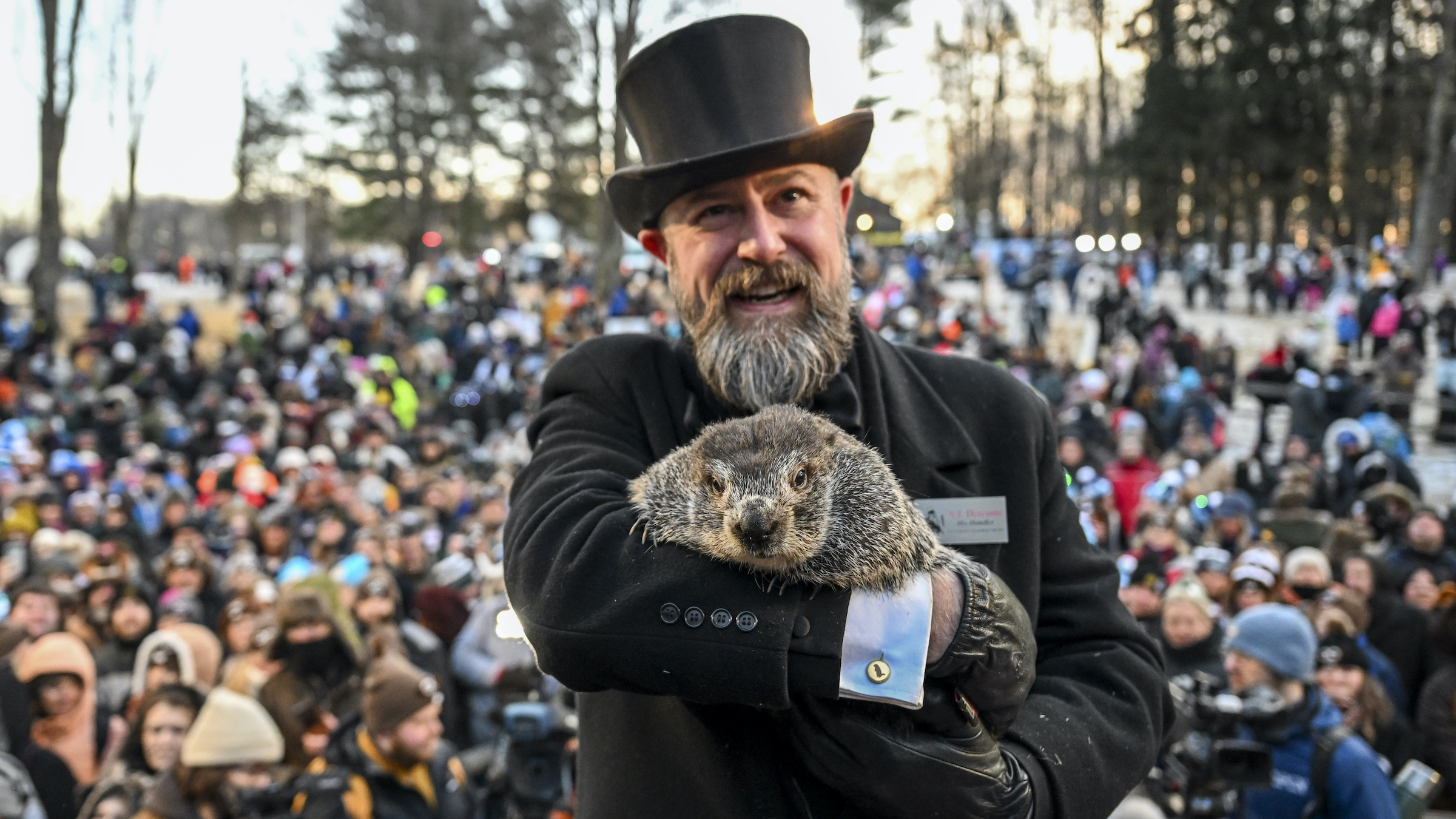 Quelle est la précision des prévisions du jour de la marmotte de Punxsutawney Phil ?