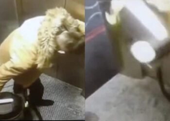 Un aspirateur s'écrase dans les portes d'ascenseur, cet homme est lancé (vidéo)