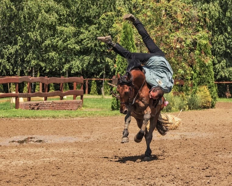 Une blonde monte à cheval pour la première fois – Thebuzzly