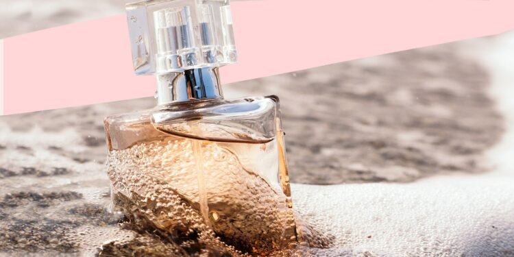 12 meilleurs parfums d'agrumes à essayer en 2023 pour un parfum piquant – Thebuzzly