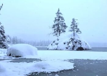 Il faut faire attention pour trouver l'ours dans ce décor enneigé