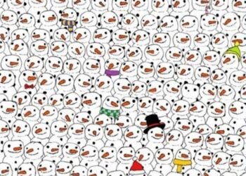 Seuls les plus observateurs trouvent rapidement le panda