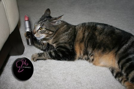 Dimanche avec des onglets le chat, mascotte de blog de maquillage et de beauté, vol.  751