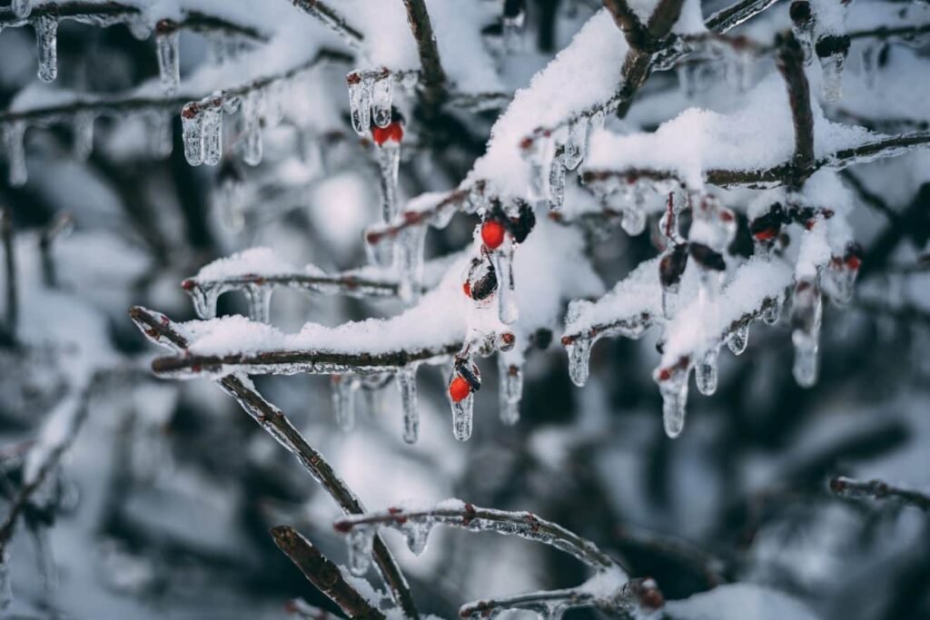 La neige est de retour cette semaine : êtes-vous inquiet ? – Thebuzzly