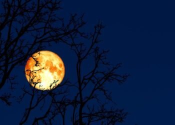 Regardez la «Worm Moon» complète se tortiller dans le ciel le 7 mars