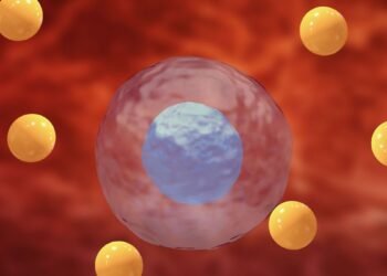 Qu'est-ce que le stress oxydatif ?  |  Sciences en direct