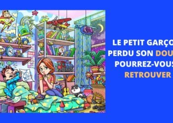 Vous ne trouverez jamais le lapin caché