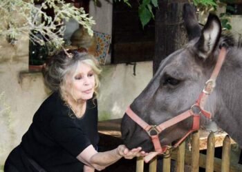 Son dernier souhait avant son "grand départ"