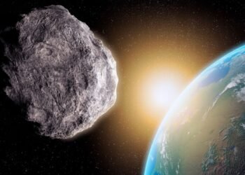 Un astéroïde récemment découvert de la taille d'une piscine a 1 chance sur 600 d'entrer en collision avec la Terre, selon la NASA