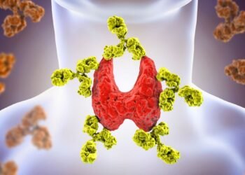 Maladie de Hashimoto : causes, symptômes et traitement