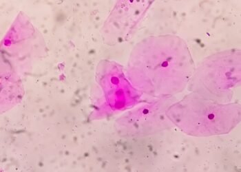 Qu'est-ce que le microbiote vaginal ?