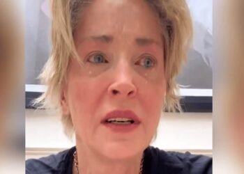 Sharon Stone : comment Basic Instinct a contribué à la perte de la garde de son fils