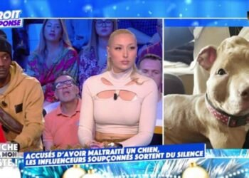 Suite à l’accusation de torture infligée à un chiot, Rop risque un an de prison