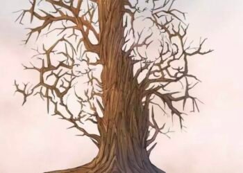 Seule une personne douée peut trouver les 3 lapins cachés à l'intérieur de cet arbre en 7 secondes !