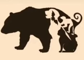 seulement 5% des personnes parviennent à retrouver tous les animaux sur cette photo, faites-vous partie de l'élite ?