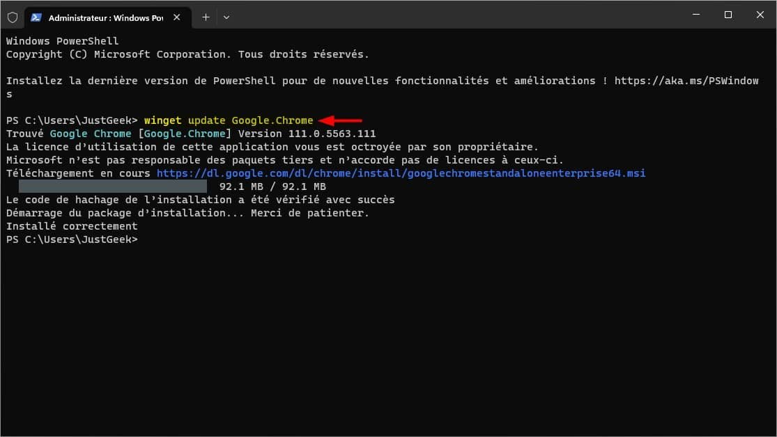 Commandes du gestionnaire de packages Windows – Thebuzzly'ailette