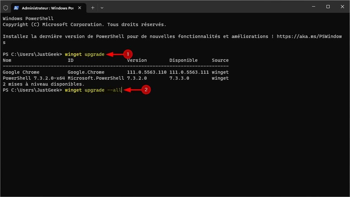 Commandes du gestionnaire de packages Windows – Thebuzzly'ailette