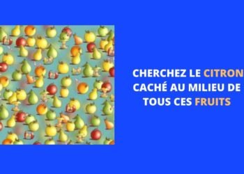 7 secondes pour trouver le fruit caché