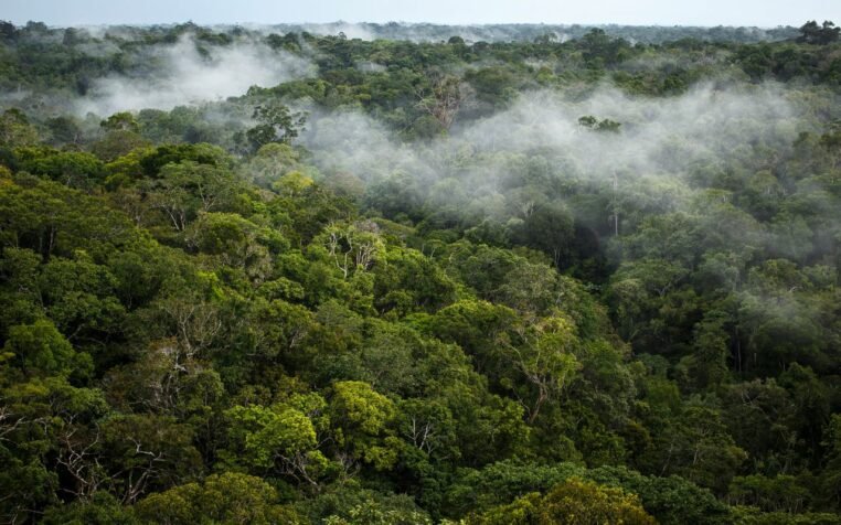 3 amis sont capturés par une tribu en Amazonie – Thebuzzly