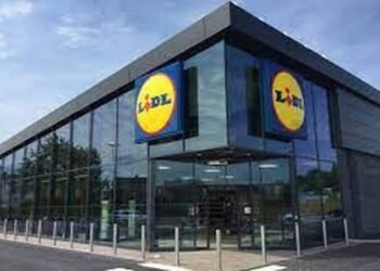 Avec ce nouvel aspirateur sans fil, Lidl va secouer Dyson !