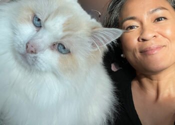 Blog maquillage et beauté Sondage du lundi, Vol.  770