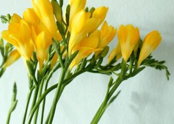 Blog maquillage et beauté Sondage du lundi, Vol.  771