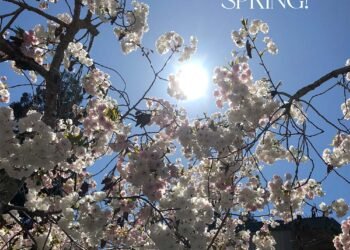 Blog maquillage et beauté Sondage du lundi, Vol.  773