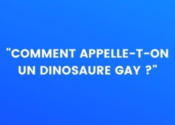 « Comment appelle-t-on un dinosaure gay ? »