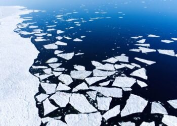 La banquise de l'Antarctique atteint son niveau le plus bas depuis le début des relevés, pour la 2e année consécutive