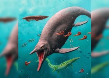 Les plus anciens fossiles de "poisson-lézard" jamais découverts suggèrent que ces monstres marins ont survécu à la "grande mort"