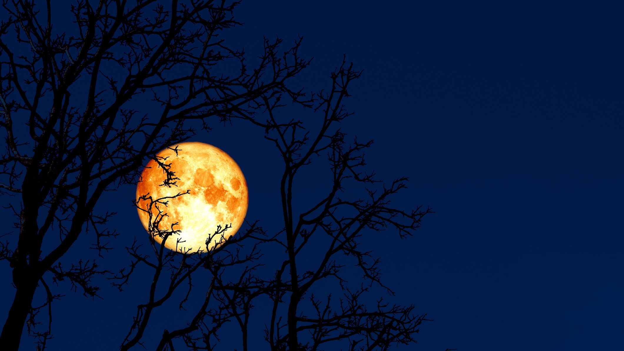 Regardez la «Worm Moon» complète se tortiller dans le ciel le 7 mars