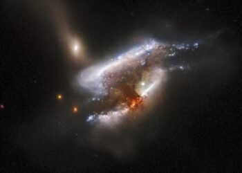 Une galaxie rare avec trois trous noirs conduit les astronomes vers les objets les plus massifs de l'univers