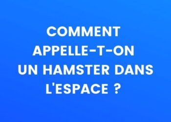 comment appelle-t-on un hamster dans l'espace ?