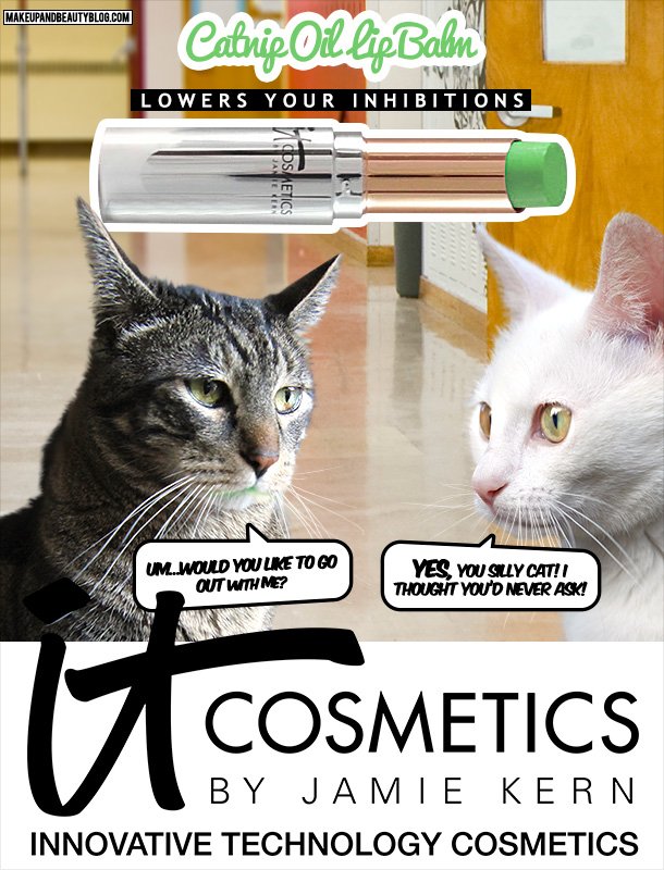 Dimanche avec des onglets le chat, mascotte de blog de maquillage et de beauté, vol.  755