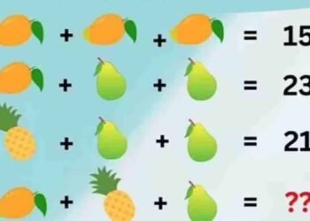 Seuls les meilleurs en mathématiques peuvent résoudre ce calcul