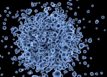 ces virus vont exploser en France