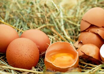 Combien de temps peut-on conserver des œufs durs au réfrigérateur ?