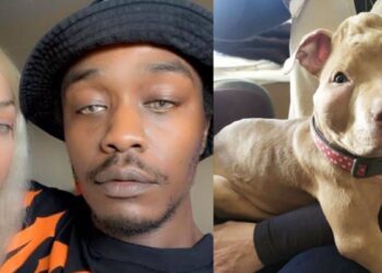 twitter chien rop condamne