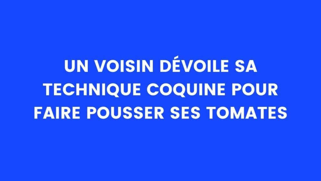 Un voisin dévoile sa technique coquine pour faire pousser ses tomates – Thebuzzly