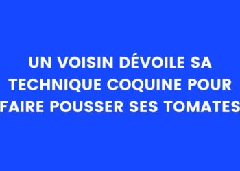 Un voisin dévoile sa technique coquine pour faire pousser ses tomates