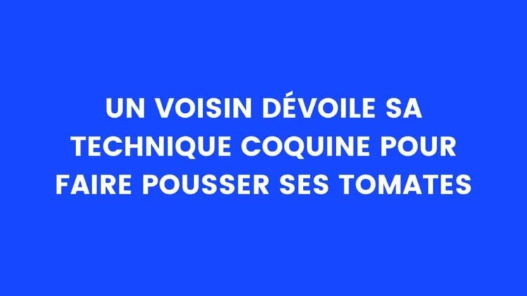 Un voisin dévoile sa technique coquine pour faire pousser ses tomates – Thebuzzly