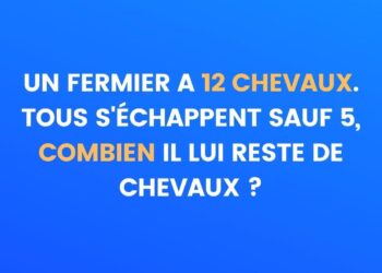 enigme chevaux
