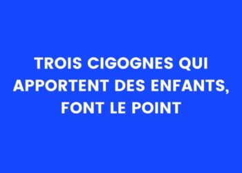trois cigognes amenant des enfants, faisant le point