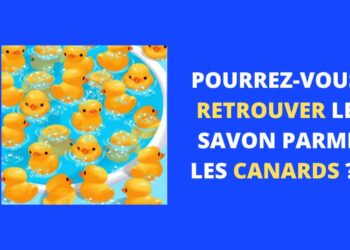 Devinette du jour : Trouver le savon parmi les canards - TDN