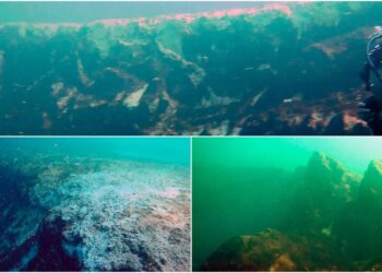 La découverte surprise du deuxième trou bleu le plus profond du monde pourrait ouvrir une fenêtre sur l'histoire de la Terre