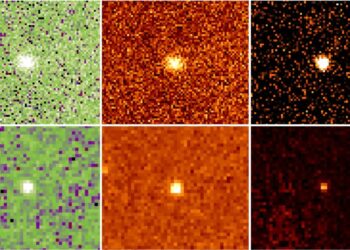 De rares astéroïdes rouges autour de Neptune pourraient révéler les secrets du système solaire primitif