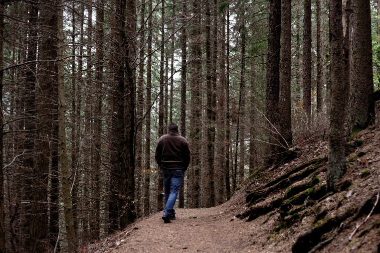 Il défèque dans les bois et provoque un incendie en brûlant le papier toilette – Thebuzzly'une promenade