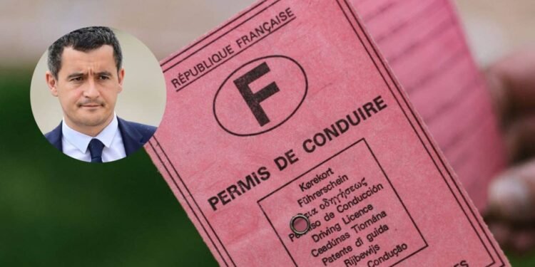 Points sur le permis : Ce qui va changer bientôt – Thebuzzly