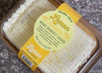 Quelle est la dernière grande chose que vous avez achetée ?